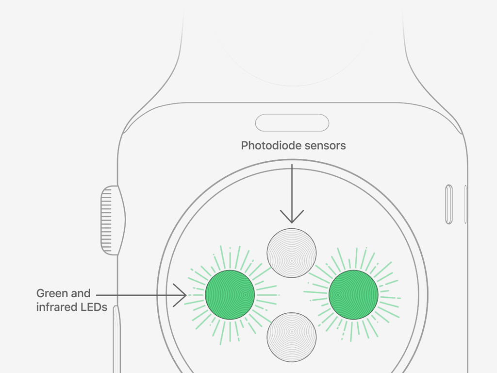 Как включить уведомления о повышенном пульсе на Apple Watch — Блог restore  Digest